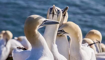 中信证券：展望8月份 半年报业绩期将是港股行情是否延续的重要节点