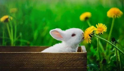 港股评级汇总 | 中信证券给予阿里巴巴买入评级