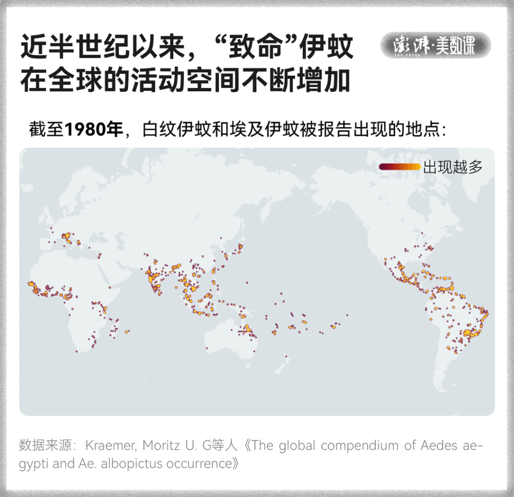 全球“最毒”的蚊子,为何批量北上