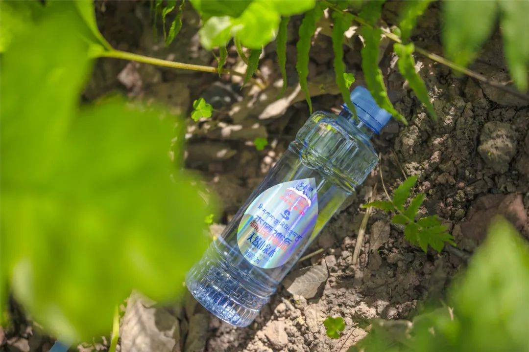 冰水VS温水:科学解析饮水温度与健康的深层关系