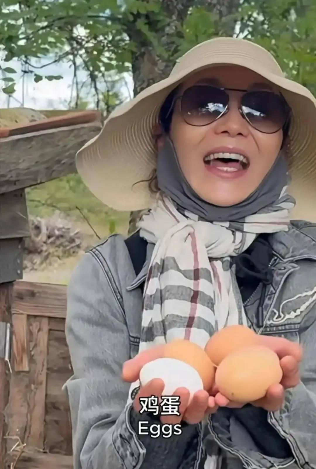 60岁张曼玉分享法国农村生活日常:养鸡种地,钻进鸡窝拿鸡蛋