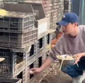 60岁张曼玉分享法国农村生活日常:养鸡种地,钻进鸡窝拿鸡蛋