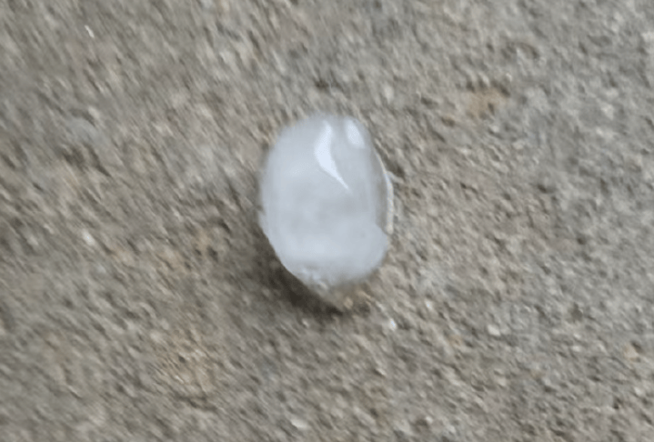 最新确认:今天清晨开始,影响青岛!将出现明显转折→