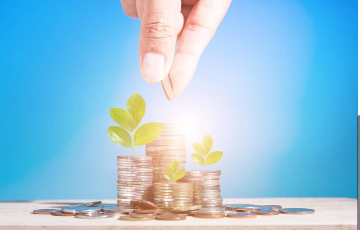 国泰海通证券邱苗：当"坐庄"成为职场棱镜，照见的不仅是行情，更是成长的轨迹