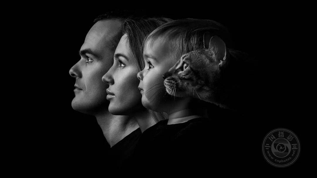 中国摄影网获29个奖项,2025年俄罗斯第3届大欧亚四地巡回摄影展(单色组)获奖公布