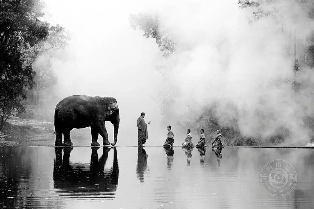 中国摄影网获29个奖项,2025年俄罗斯第3届大欧亚四地巡回摄影展(单色组)获奖公布