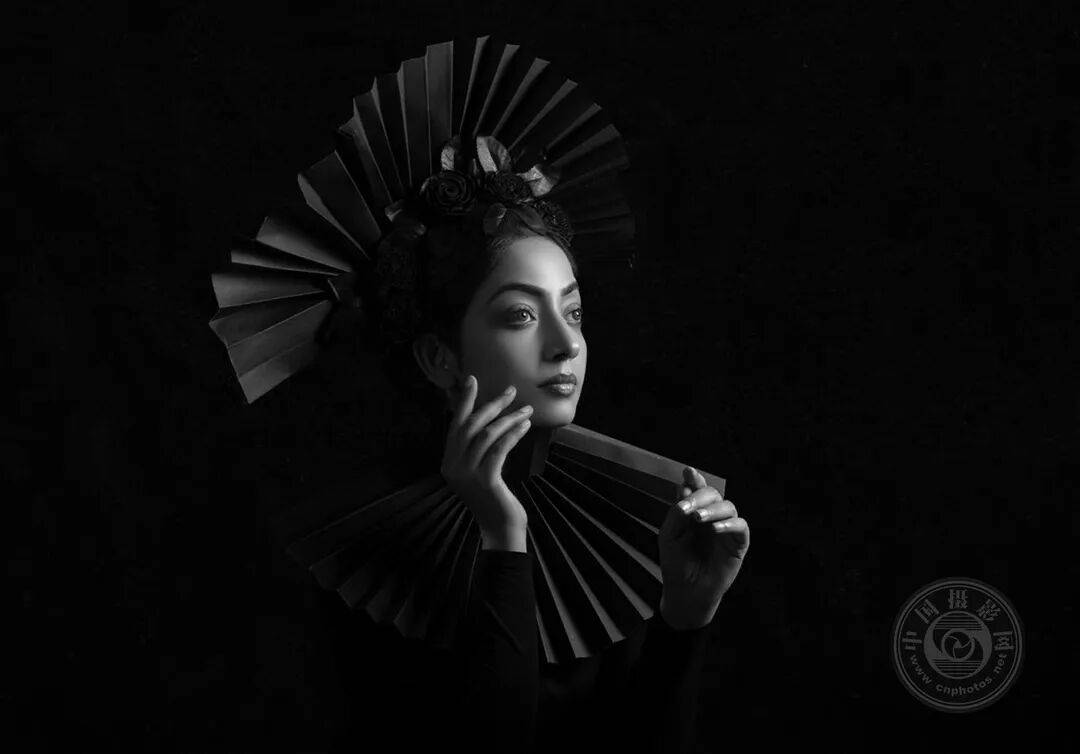 中国摄影网获29个奖项,2025年俄罗斯第3届大欧亚四地巡回摄影展(单色组)获奖公布