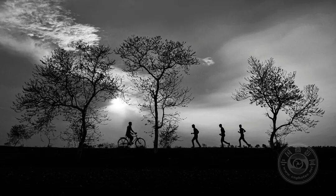 中国摄影网获29个奖项,2025年俄罗斯第3届大欧亚四地巡回摄影展(单色组)获奖公布