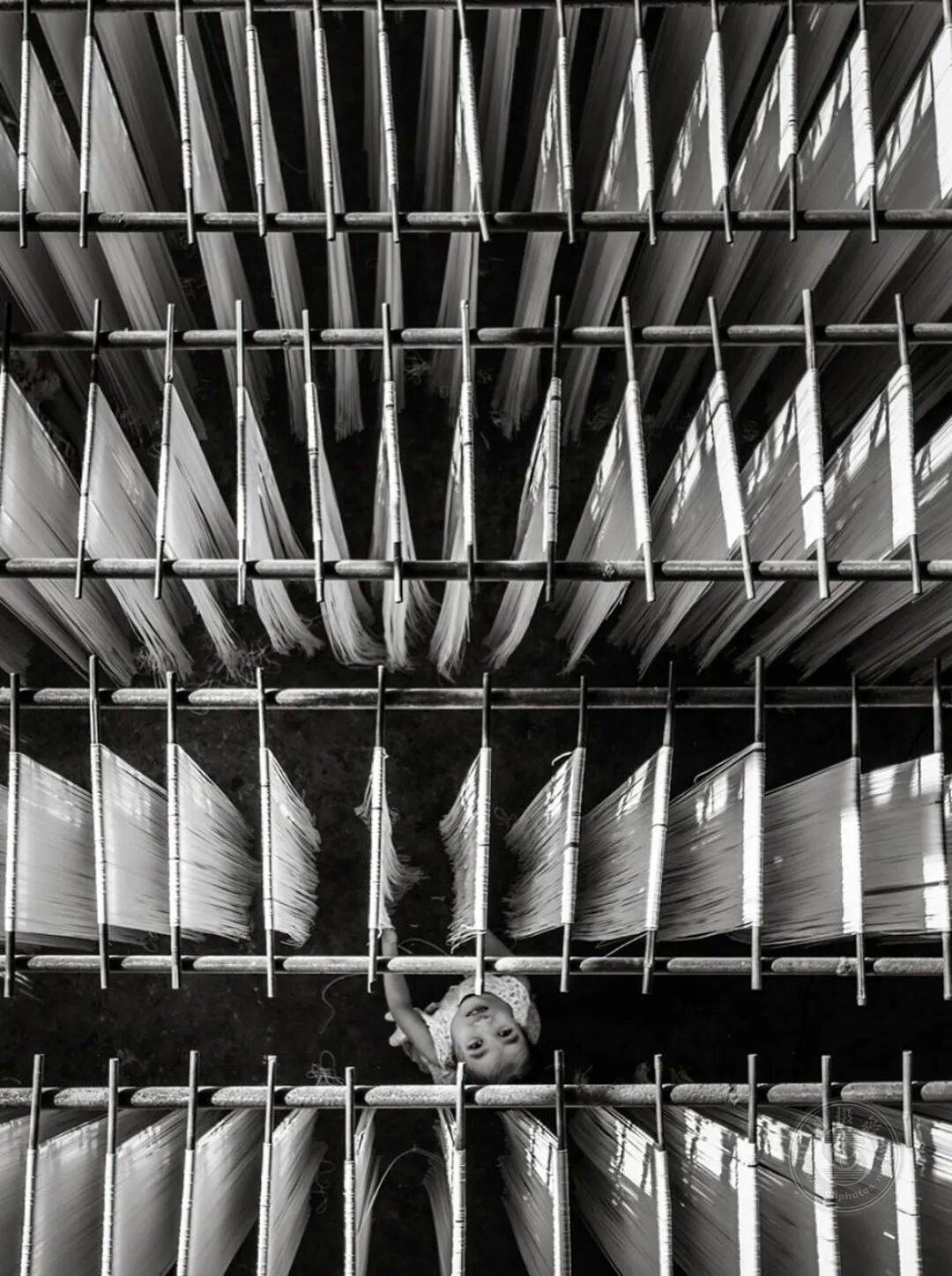 中国摄影网获29个奖项,2025年俄罗斯第3届大欧亚四地巡回摄影展(单色组)获奖公布