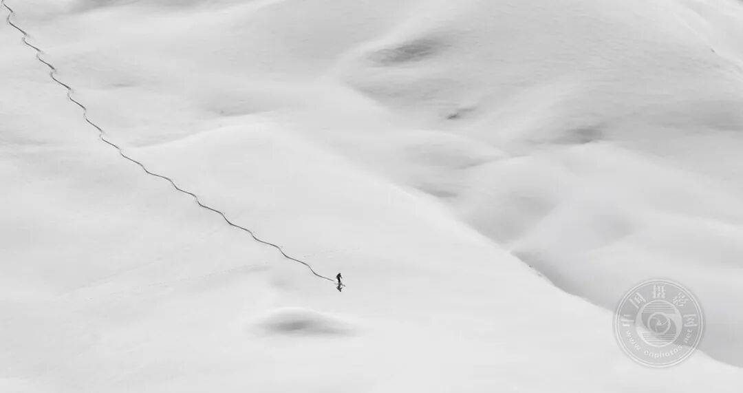 中国摄影网获29个奖项,2025年俄罗斯第3届大欧亚四地巡回摄影展(单色组)获奖公布