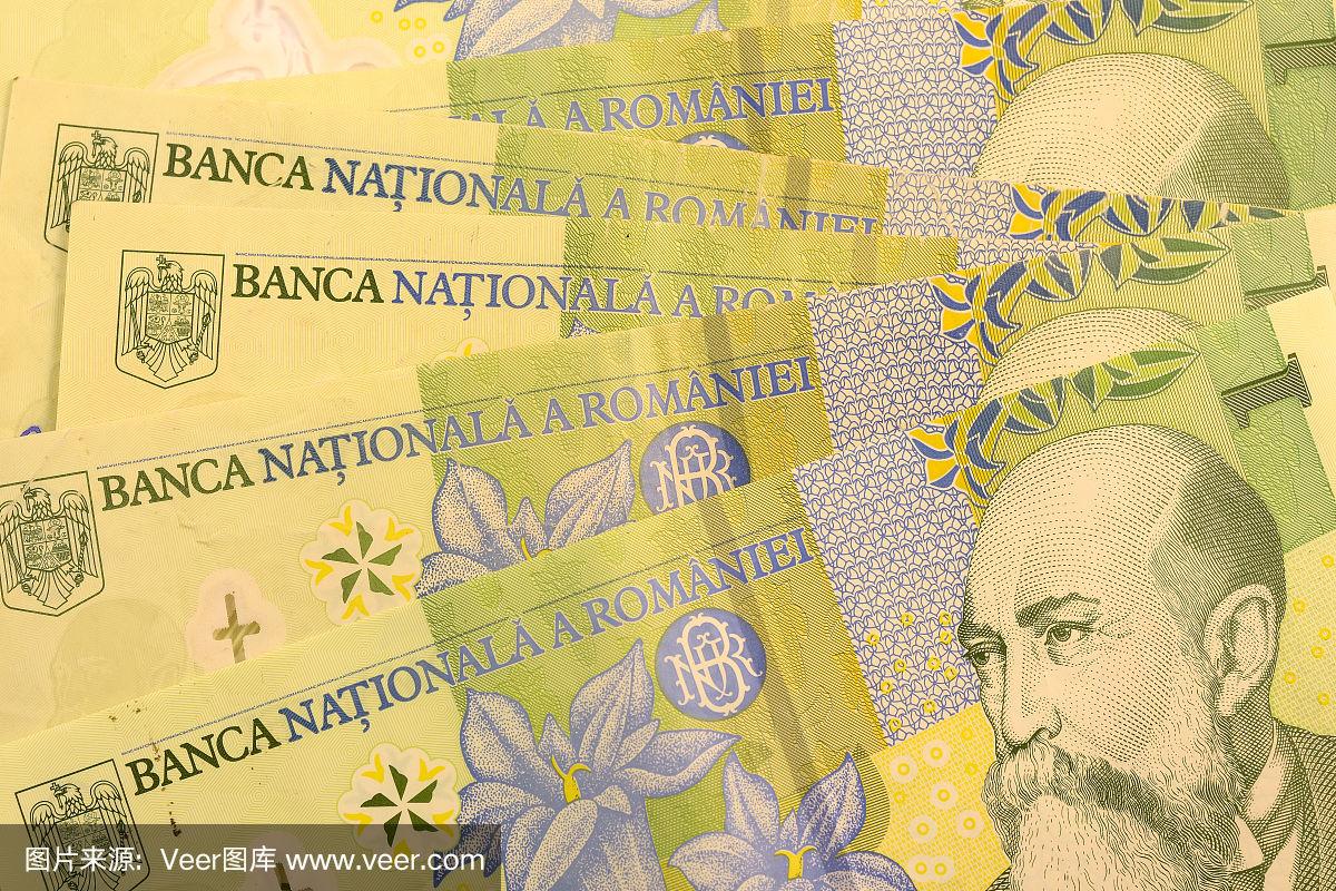 罗马尼亚货币(罗马尼亚货币兑换美元)