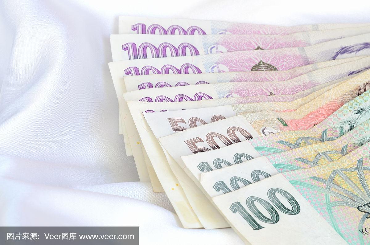 捷克货币(捷克货币和人民币汇率是多少)