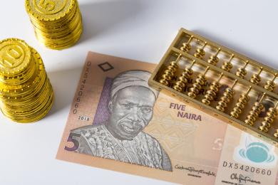 尼日利亚货币(尼日利亚货币兑换美元)