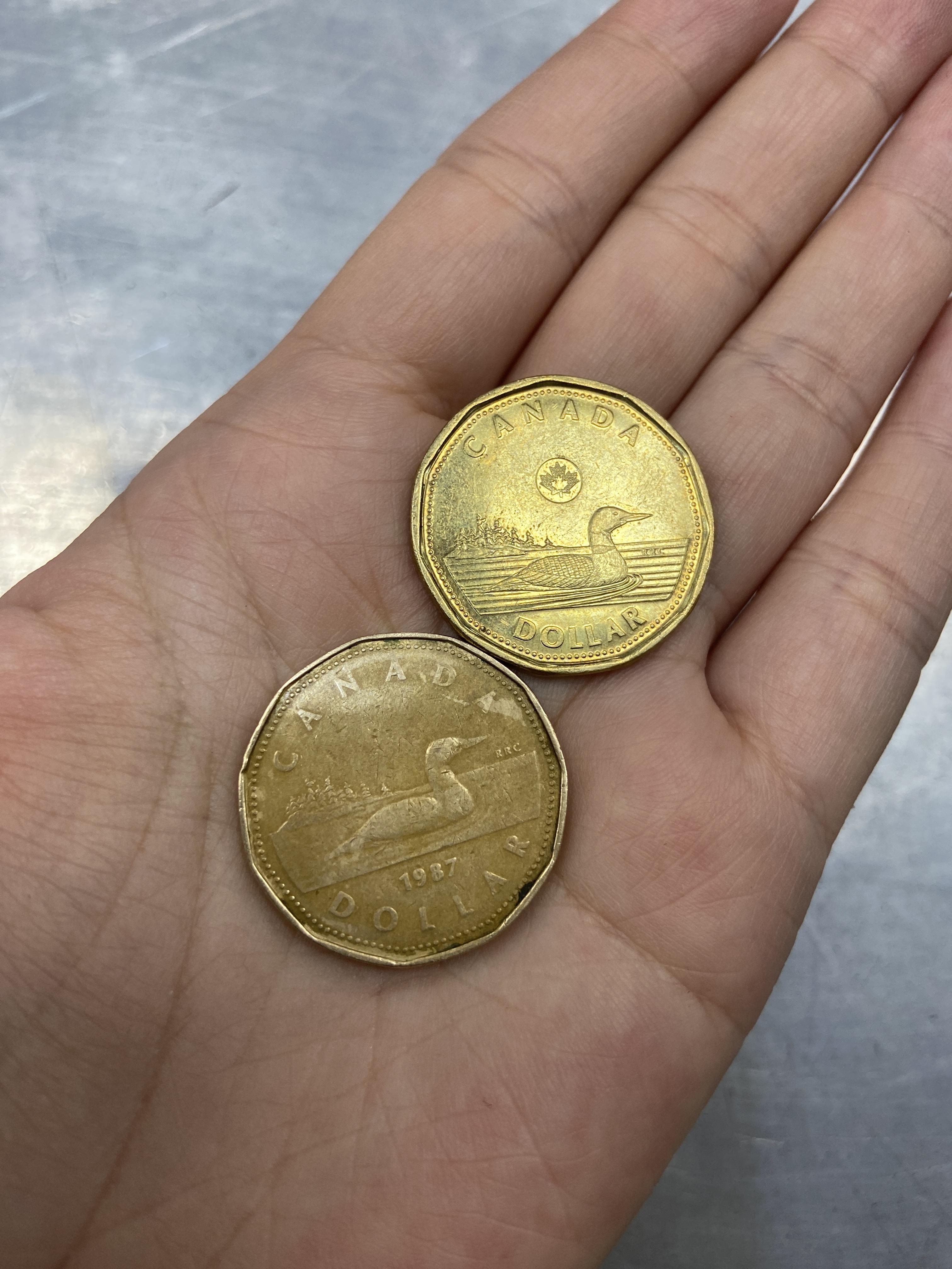 加拿大货币(加拿大货币缩写)