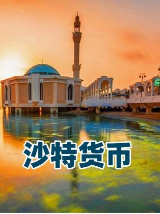 沙特货币(沙特货币面值)